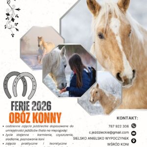 Ferie Zimowe Konne (01.02 - 07.02.2026)
