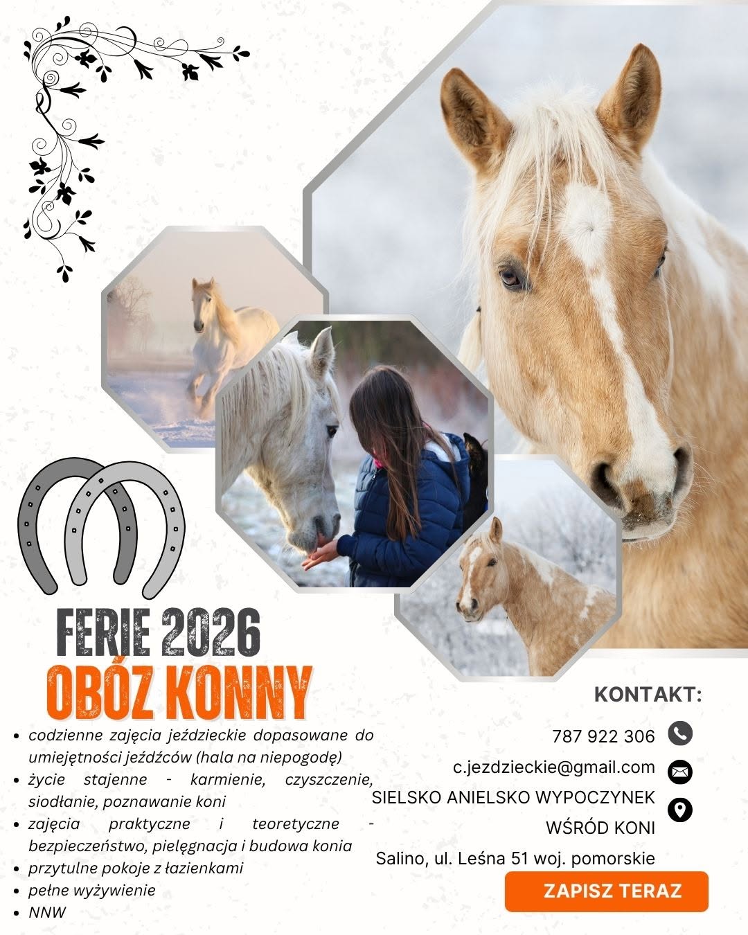 Ferie Zimowe Konne (08.02 - 14.02.2026)